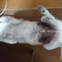 集会所