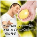 月詠家