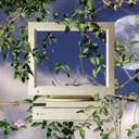 Lightshine Chamber