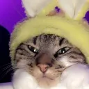 ᴜᴡᴜ ᴄᴜʟᴛ