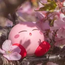 NamiSugoi's Army ʢᵕᴗᵕʡ