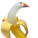 Pipsta's Server