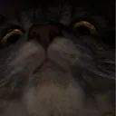 おれんち