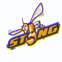 STNG Gaming