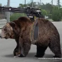 The Bear Cave!
