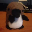 The Waddles Hideout