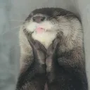 The Otter's Den