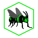 HiveMuse Collective