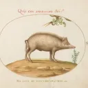 Pig Alley Entertainment, LLC