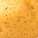 The Potato Farm