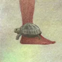 The Tortoise Bank