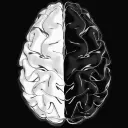neuro.studio