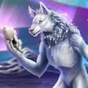 The Moon Medicine Force