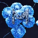 Mahas' Discord