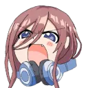 NarucoCorp
