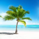 Giveaway Paradise icon