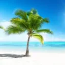Giveaway Paradise