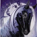 North of North