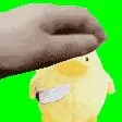 BIRD.png (Waiter! More bug fixes please!!!)