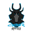 Cyber Samurais