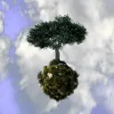 Tree House