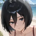 mikasa.host