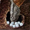 Snail River Games