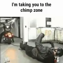 The Chimp Zone