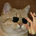 Tom's Lounge with CATS