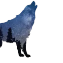 WolfPack