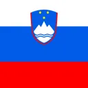 Slovenski hub