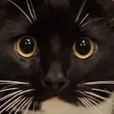 Kaïyacord