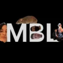 MBL CLAN