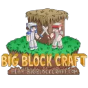 Big Block Craft