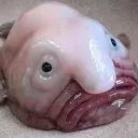 ШТАБ ЛЮБВИ И МИРА