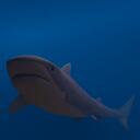 Silly Sharks Discord Server Icon