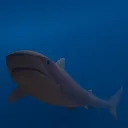 Silly Sharks Discord Server Icon