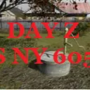 DayZ US NY 6053