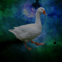 Da Goose icon