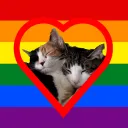 Wholesome Channel