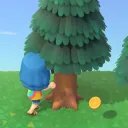 Shake Trees Catch Bees