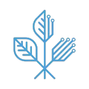 FSR - AI