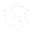 The Second Half Discord Server Icon