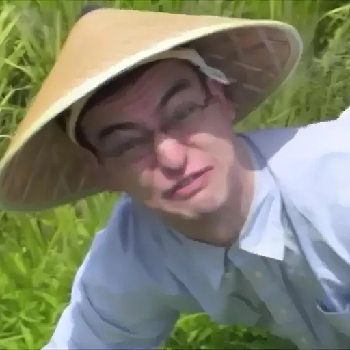 Rice fields — мониторинг Discord сервера, статистика и рейтинг