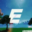 Team Evoked