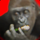 Flying Gorilla Server icon