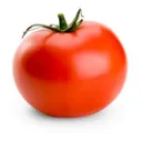 TOMATO KING YT