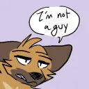 there are no girls on the internet