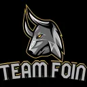 Team FOIN