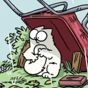Dicke Katze